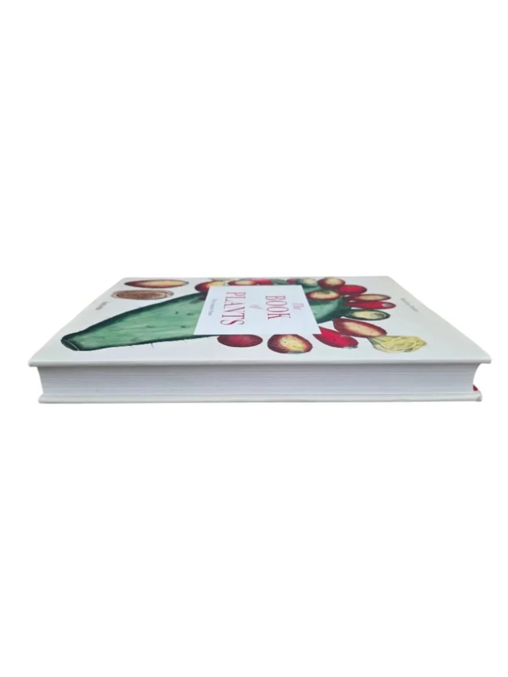 The Book of Plants: The Complete Plates Taschen 25th Anniversary Besler HCDJ